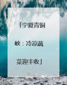 宁夏青铜峡：冷凉蔬菜迎丰收