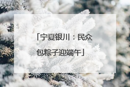 宁夏银川：民众包粽子迎端午