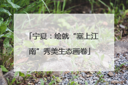 宁夏：绘就“塞上江南”秀美生态画卷