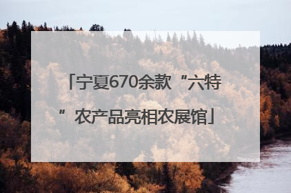 宁夏670余款“六特”农产品亮相农展馆