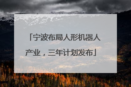 宁波布局人形机器人产业，三年计划发布