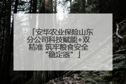 安华农业保险山东分公司科技赋能+双精准 筑牢粮食安全“稳定器”