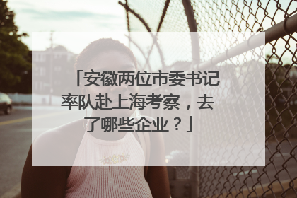 安徽两位市委书记率队赴上海考察，去了哪些企业？