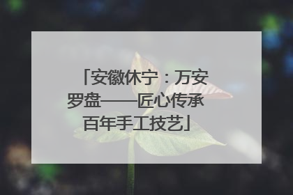 安徽休宁：万安罗盘——匠心传承百年手工技艺