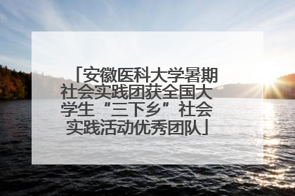 安徽医科大学暑期社会实践团获全国大学生“三下乡”社会实践活动优秀团队