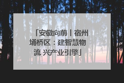 安徽向前丨宿州埇桥区：建智慧物流 兴产业引擎
