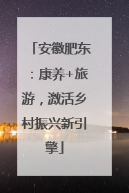 安徽肥东：康养+旅游，激活乡村振兴新引擎