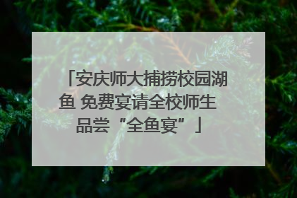 安庆师大捕捞校园湖鱼 免费宴请全校师生品尝“全鱼宴”