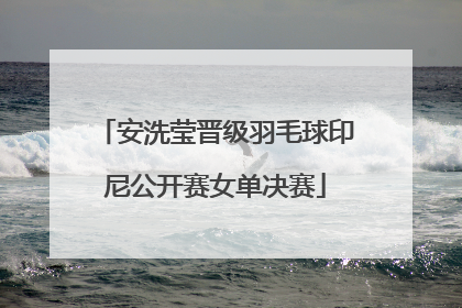 安洗莹晋级羽毛球印尼公开赛女单决赛