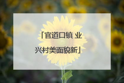 官道口镇 业兴村美面貌新