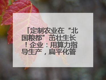 定制农业在“北国粮都”茁壮生长！企业：用算力指导生产，扁平化管理种地