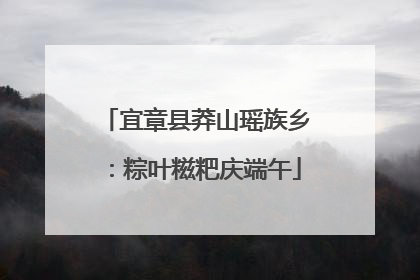 宜章县莽山瑶族乡：粽叶糍粑庆端午