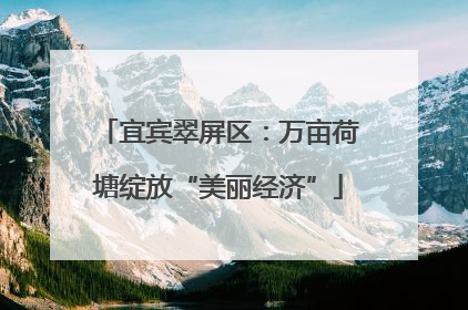 宜宾翠屏区：万亩荷塘绽放“美丽经济”