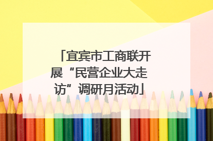 宜宾市工商联开展“民营企业大走访”调研月活动