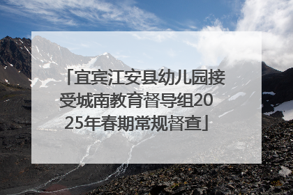 宜宾江安县幼儿园接受城南教育督导组2025年春期常规督查