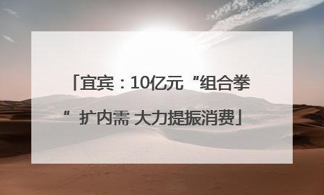 宜宾：10亿元“组合拳”扩内需 大力提振消费