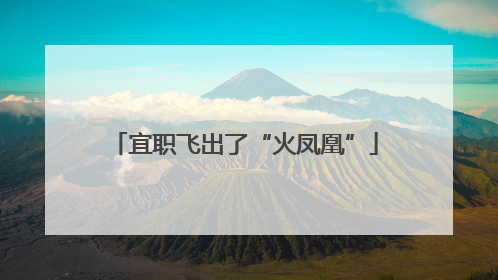 宜职飞出了“火凤凰”