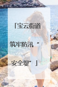 宝云街道筑牢防汛“安全堤”