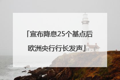 宣布降息25个基点后 欧洲央行行长发声