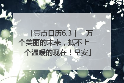 壹点日历6.3｜一万个美丽的未来，抵不上一个温暖的现在！早安