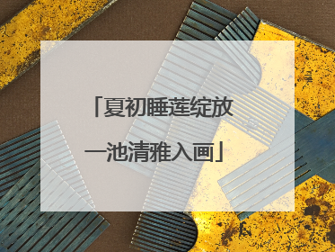 夏初睡莲绽放 一池清雅入画
