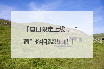 夏日限定上线，“荷”你相遇洪山！