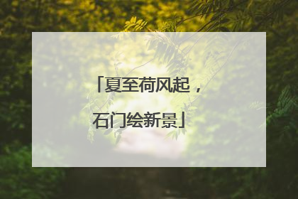 夏至荷风起，石门绘新景