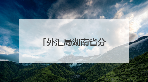 外汇局湖南省分局以高质效外币兑换服务 为中非经贸博览会赋能