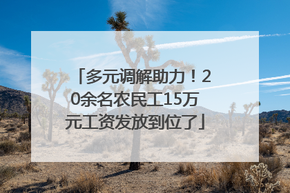 多元调解助力！20余名农民工15万元工资发放到位了
