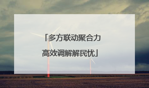 多方联动聚合力 高效调解解民忧