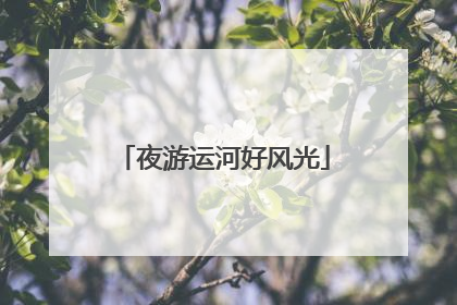 夜游运河好风光