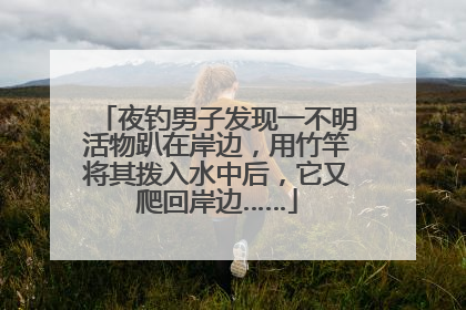 夜钓男子发现一不明活物趴在岸边，用竹竿将其拨入水中后，它又爬回岸边……