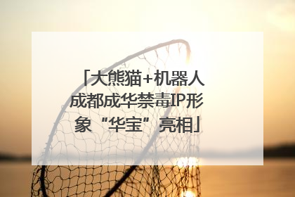 大熊猫+机器人 成都成华禁毒IP形象“华宝”亮相