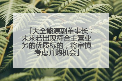 大全能源副董事长：未来若出现符合主营业务的优质标的，将审慎考虑并购机会
