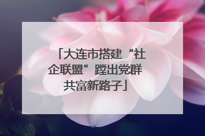 大连市搭建“社企联盟”蹚出党群共富新路子