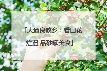 大通良教乡：看山花烂漫 品砂罐美食
