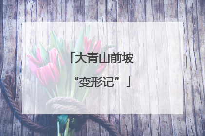大青山前坡“变形记”