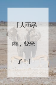 大雨暴雨，要来了！