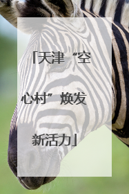 天津“空心村”焕发新活力