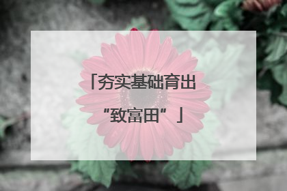 夯实基础育出“致富田”
