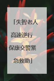 失智老人高速逆行 保康交警紧急救助