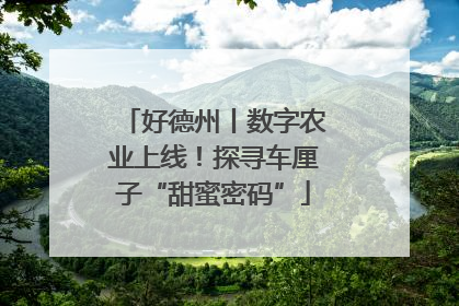好德州丨数字农业上线！探寻车厘子“甜蜜密码”