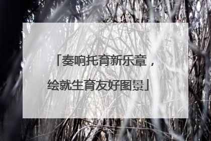 奏响托育新乐章，绘就生育友好图景