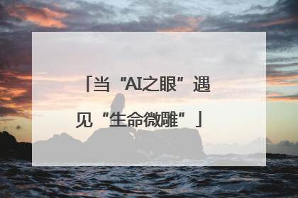 当“AI之眼”遇见“生命微雕”