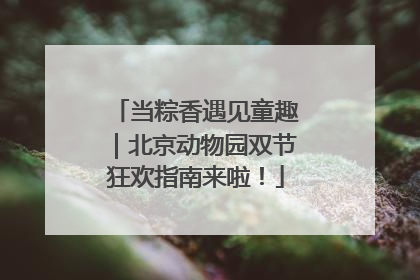 当粽香遇见童趣｜北京动物园双节狂欢指南来啦！