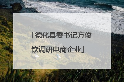 德化县委书记方俊钦调研电商企业