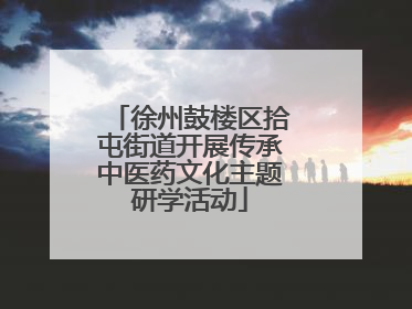 徐州鼓楼区拾屯街道开展传承中医药文化主题研学活动