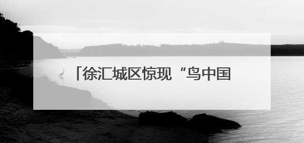 徐汇城区惊现“鸟中国宝”！看城管小哥如何救下这只“彩虹小鸟”