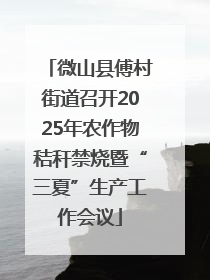 微山县傅村街道召开2025年农作物秸秆禁烧暨“三夏”生产工作会议
