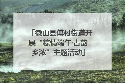 微山县傅村街道开展“粽情端午·古韵乡浓”主题活动